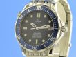 Omega Seamaster Diver 300M Automatik