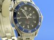 Omega Seamaster Diver 300 GMT Co-Axial