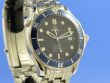 Omega Seamaster Professional 300M Co-Axial