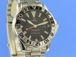 Omega Seamaster Diver 300M GMT