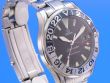 Omega Seamaster Diver 300M GMT