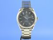Omega Seamaster Aqua Terra Master Chrononomter 41 mm
