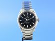 Omega Seamaster Aqua Terra Master Co-Axial
