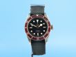 Tudor Heritage Black Bay
