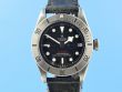 Tudor Black Bay Steel