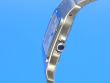 Cartier Santos Herren
