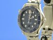 Omega Seamaster Diver 300M Master Chronometer