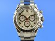 Rolex Daytona 18K Weigold