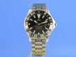 Omega Seamaster Diver 300M GMT