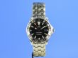 Omega Seamaster Diver 300M GMT