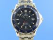 Omega Seamaster Diver 300M GMT Co-Axial