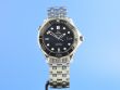 Omega Seamaster Diver 300M Co-Axial Keramik