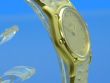 Ebel Classic Wave Damen 18K Gold