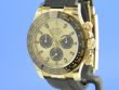 Rolex Cosmograph Daytona 40 Yellow Gold Rubber Strap Black & Champagne Dial 116518LN