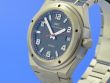 IWC Ingenieur AMG Titan