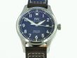 IWC Mark XVIII Brown Dial IW327003