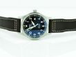 IWC Mark XVIII Brown Dial IW327003