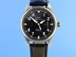 IWC Mark XVII Pilot