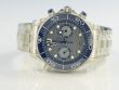 Omega Seamaster 300m Co-Axial Master Chronometer