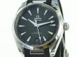 Omega Seamaster Aqua-Terra 150M 41 mm Co-Axial