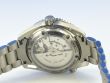 Omega Seamaster Planet Ocean 600m Liquidmetal