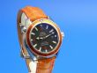Omega Seamaster Planet Ocean