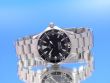 Omega Seamaster Professional Medium