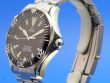 Omega Seamaster Professional