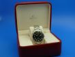 Omega Seamaster Professional