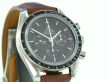 Omega Speedmaster Moonwatch Brown Dail