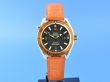 Omega Seamaster Planet Ocean 42 mm