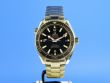 Omega Seamaster Planet Ocean 600M 42 mm