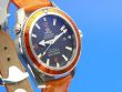 Omega Seamaster Planet Ocean