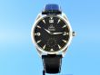 Omega Seamaster Railmaster XXL Chronometer