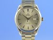 Omega Seamaster Aqua Terra Big-Size Chronometer