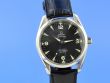 Omega Seamaster Aqua Terra Railmaster