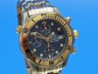 Omega Seamaster Diver 300 Chrono Titan/Rosgold