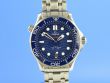 Omega Seamaster Diver 300M Master Chronometer