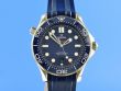 Omega Seamaster Diver 300M Master Chronometer Co-Axial