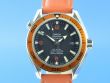 Omega Seamaster Planet Ocean 42 mm