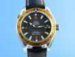 Omega Seamaster Planet Ocean 600M