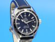 Omega Seamaster Planet Ocean
