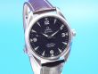 Omega Seamaster Railmaster 42 mm