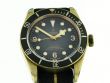 TUDOR Black Bay schiefergraues Zifferblatt 79250BA