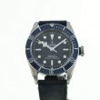 Tudor Black Bay