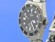 Tudor Pelagos
