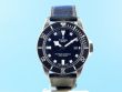 Tudor Pelagos