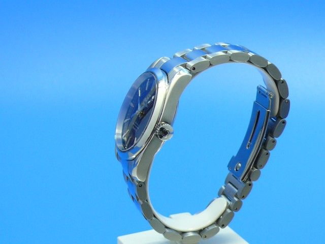 Omega Seamaster Aqua-Terra 150M Co-Axial