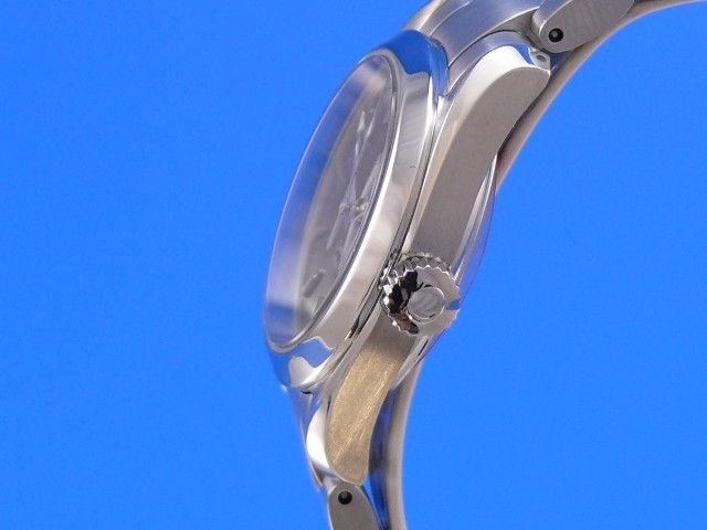 Omega Seamaster Aqua Terra 29mm Ladies 150M