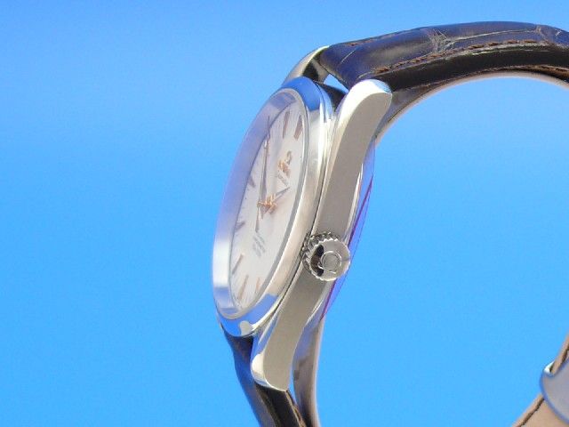 Omega Seamaster Aqua Terra Co-Axial 39 mm